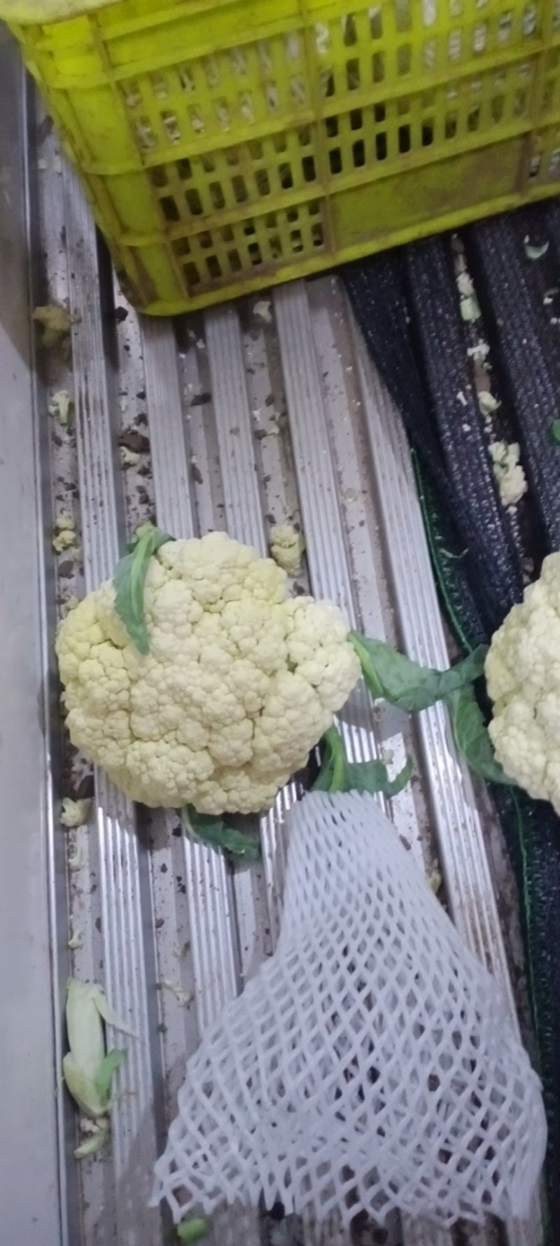 散花继续上货啊需要联系我啊。产地直供。质量保证价格偏宜。