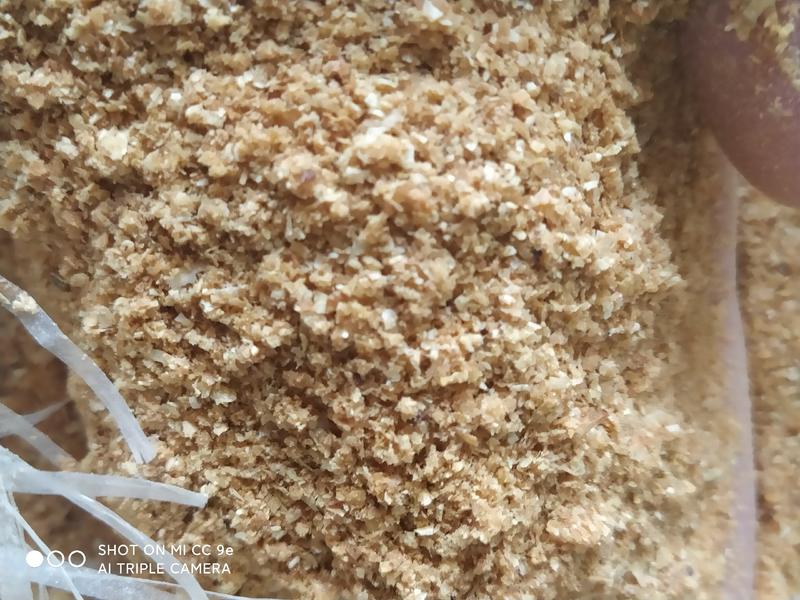 喷浆玉米皮厂家直销，蛋白含量高，养殖好饲料。