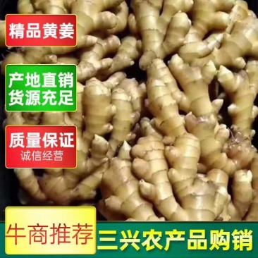 【精品】山东优质小黄姜产地批发全国发货货源充足诚信经营