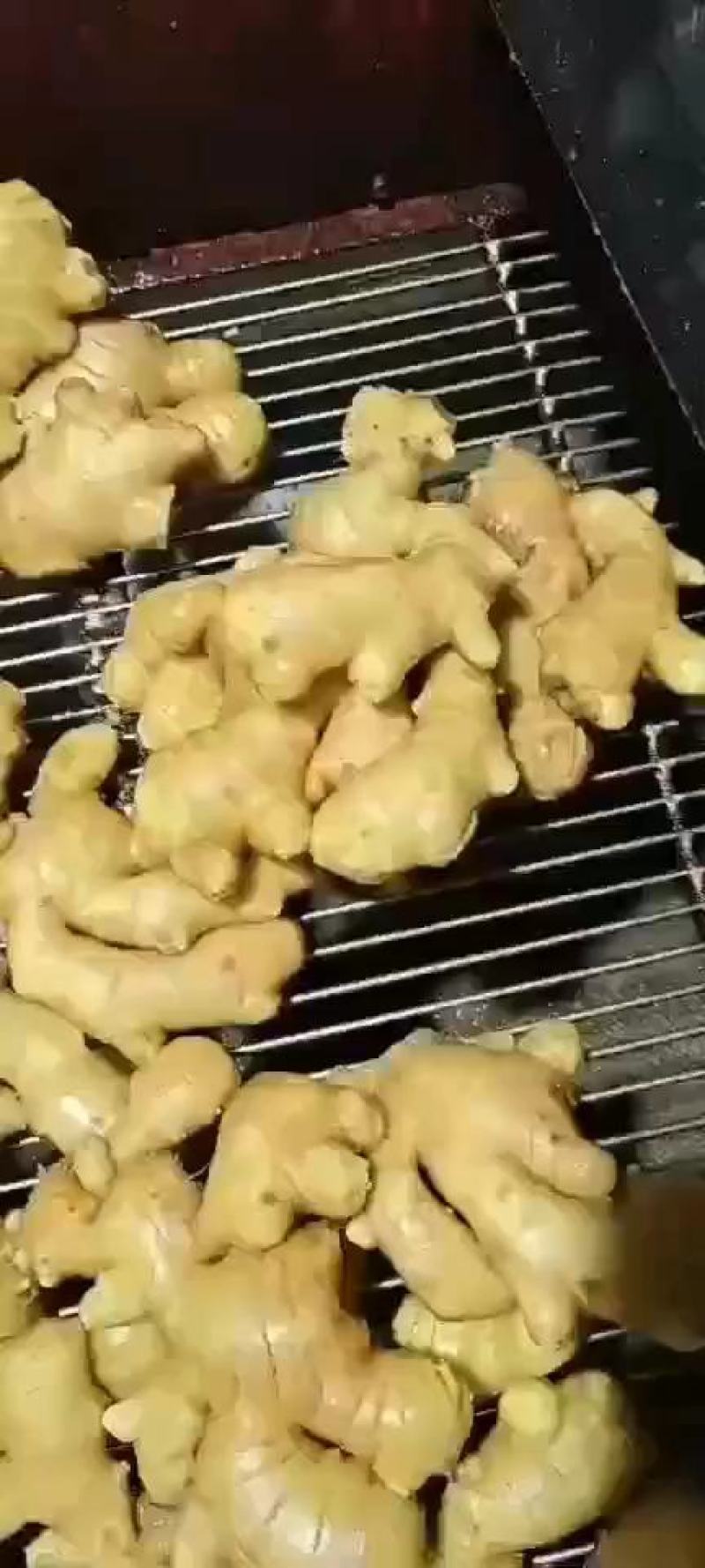 小黄姜产地直销，保质保量全国物流发货，一件代发