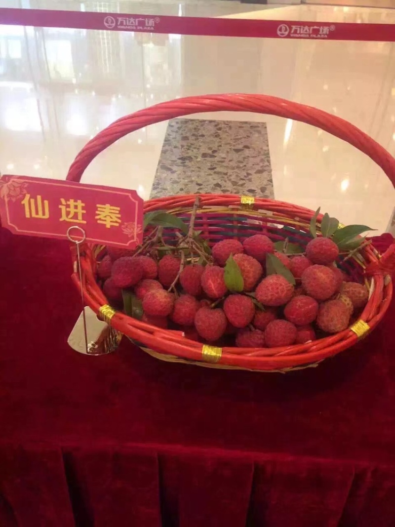 正宗增城基岗村仙进奉荔枝