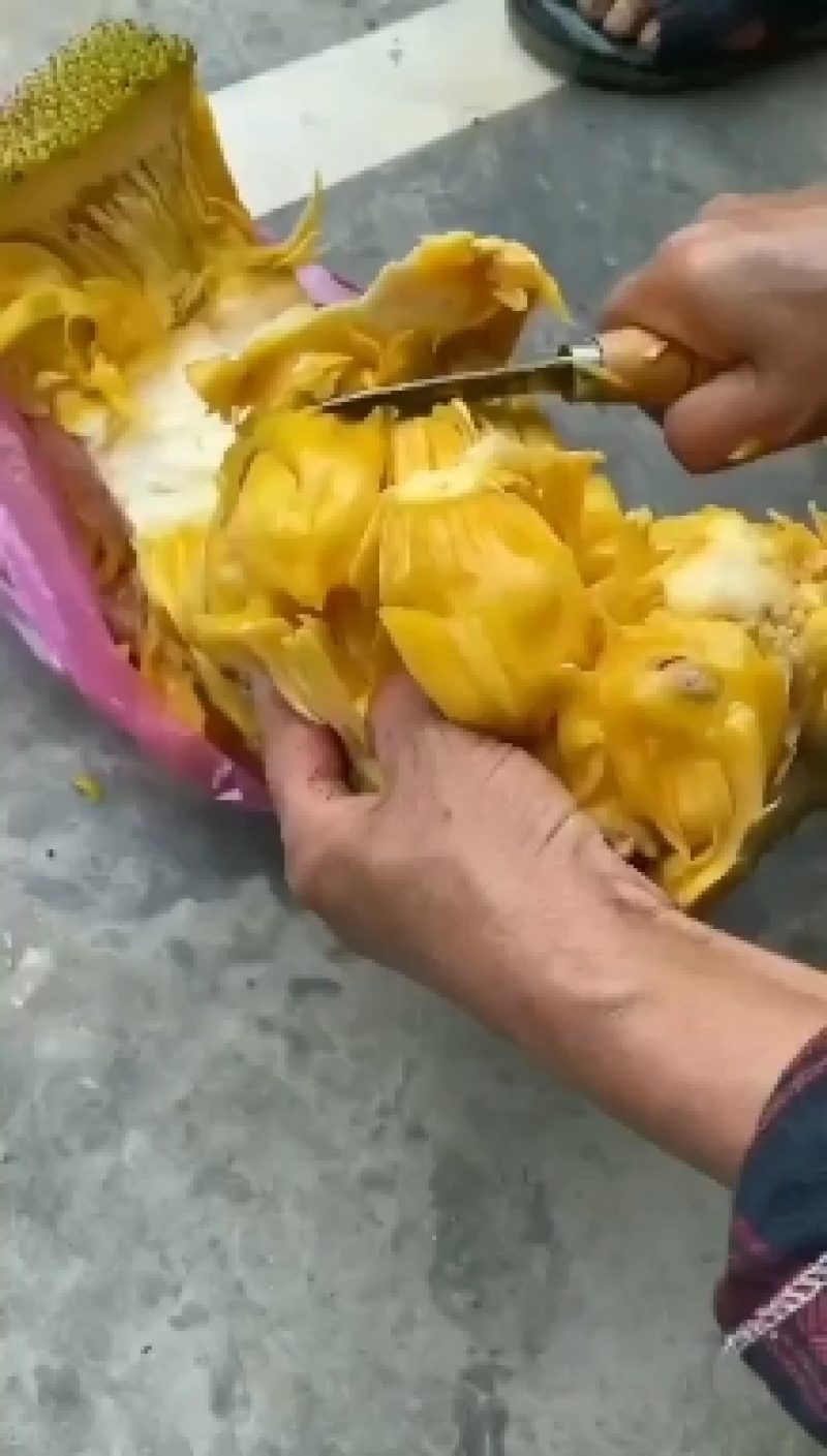 【推荐】菠萝蜜广东菠萝蜜果园直采量大优惠致电详谈