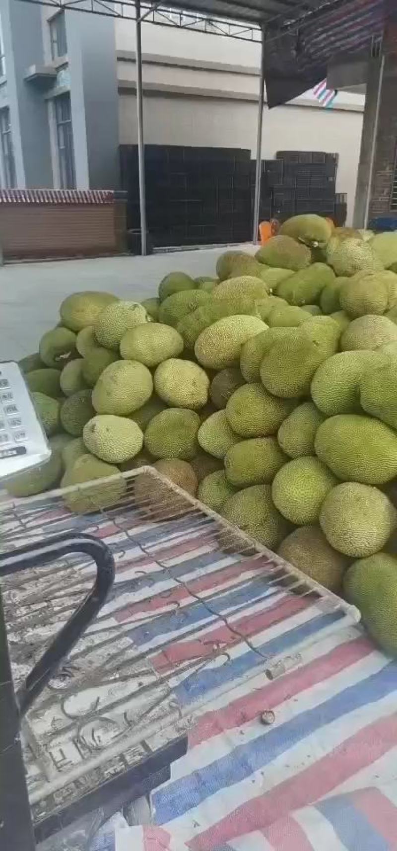 【推荐】菠萝蜜广东菠萝蜜果园直采量大优惠致电详谈