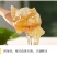 【精品批发】500蜂巢蜜一斤装量大优惠，对接酒店电商