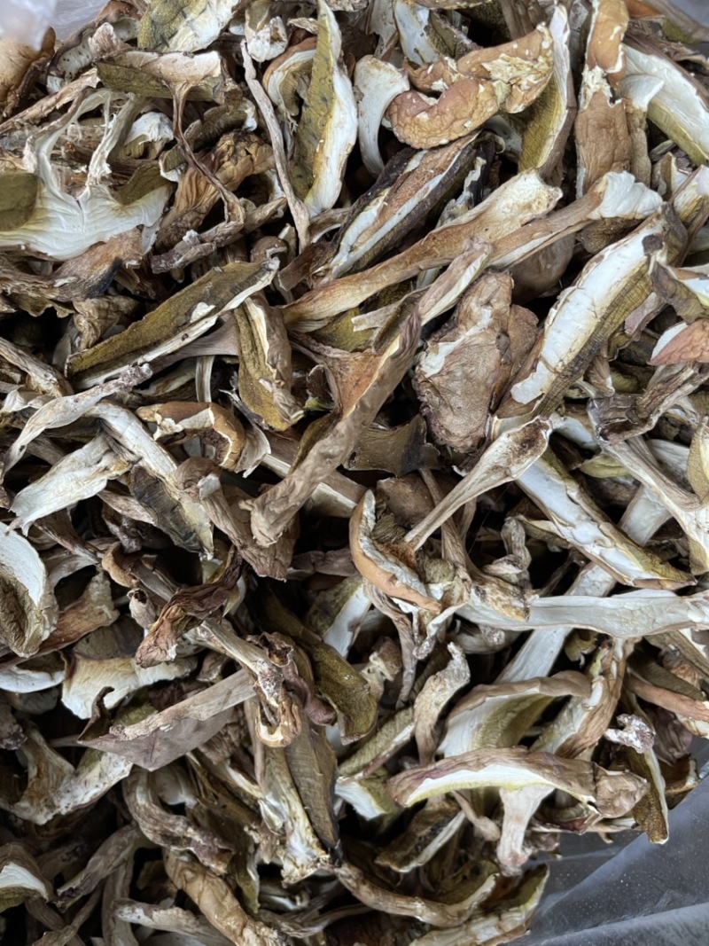 牛肝菌、红葱菌需要的老板可以看看大量有货联系我呦