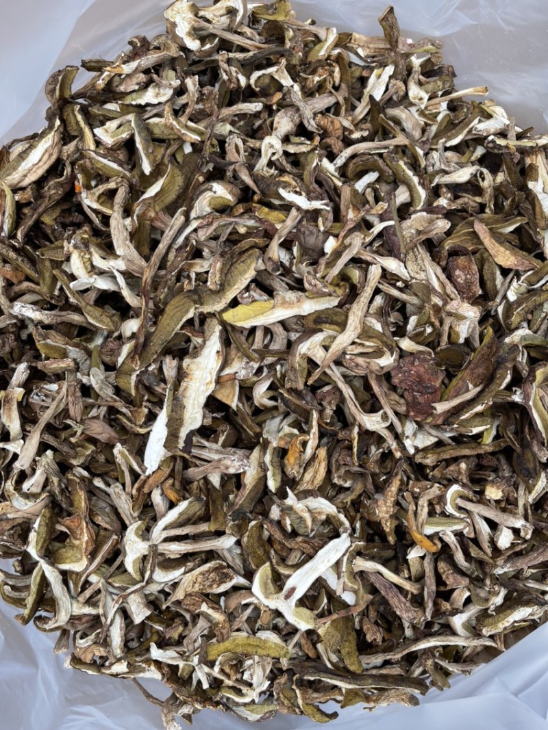 牛肝菌、红葱菌需要的老板可以看看大量有货联系我呦