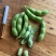 翠绿宝毛豆18~24克