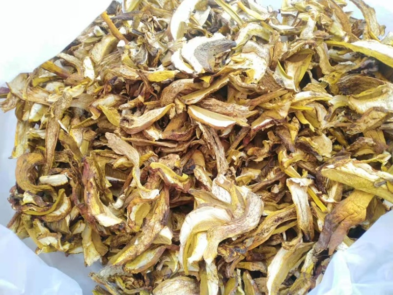 牛肝菌、红葱菌需要的老板可以看看大量有货联系我呦