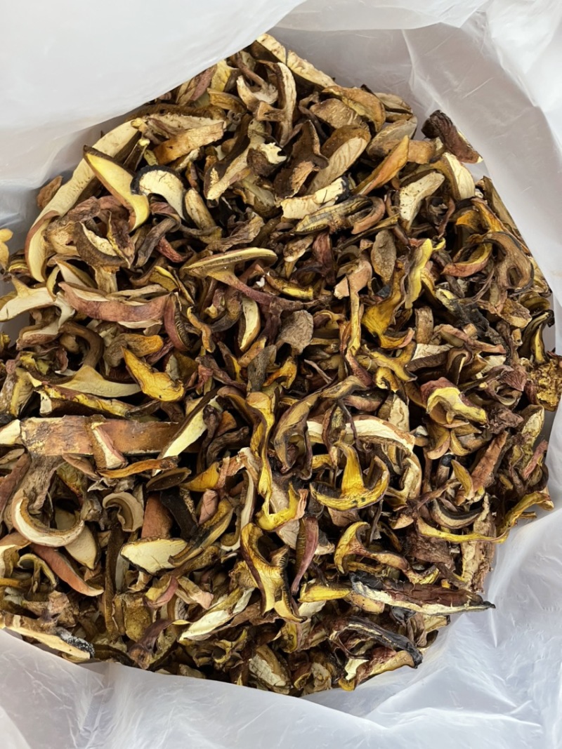 牛肝菌、红葱菌需要的老板可以看看大量有货联系我呦