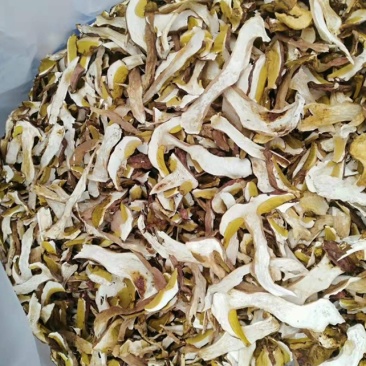 牛肝菌、红葱菌需要的老板可以看看大量有货联系我呦