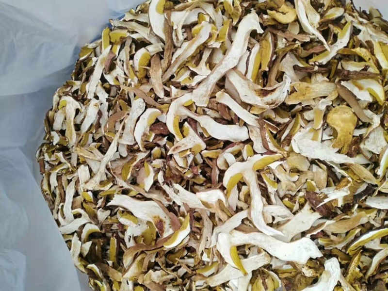 牛肝菌、红葱菌需要的老板可以看看大量有货联系我呦