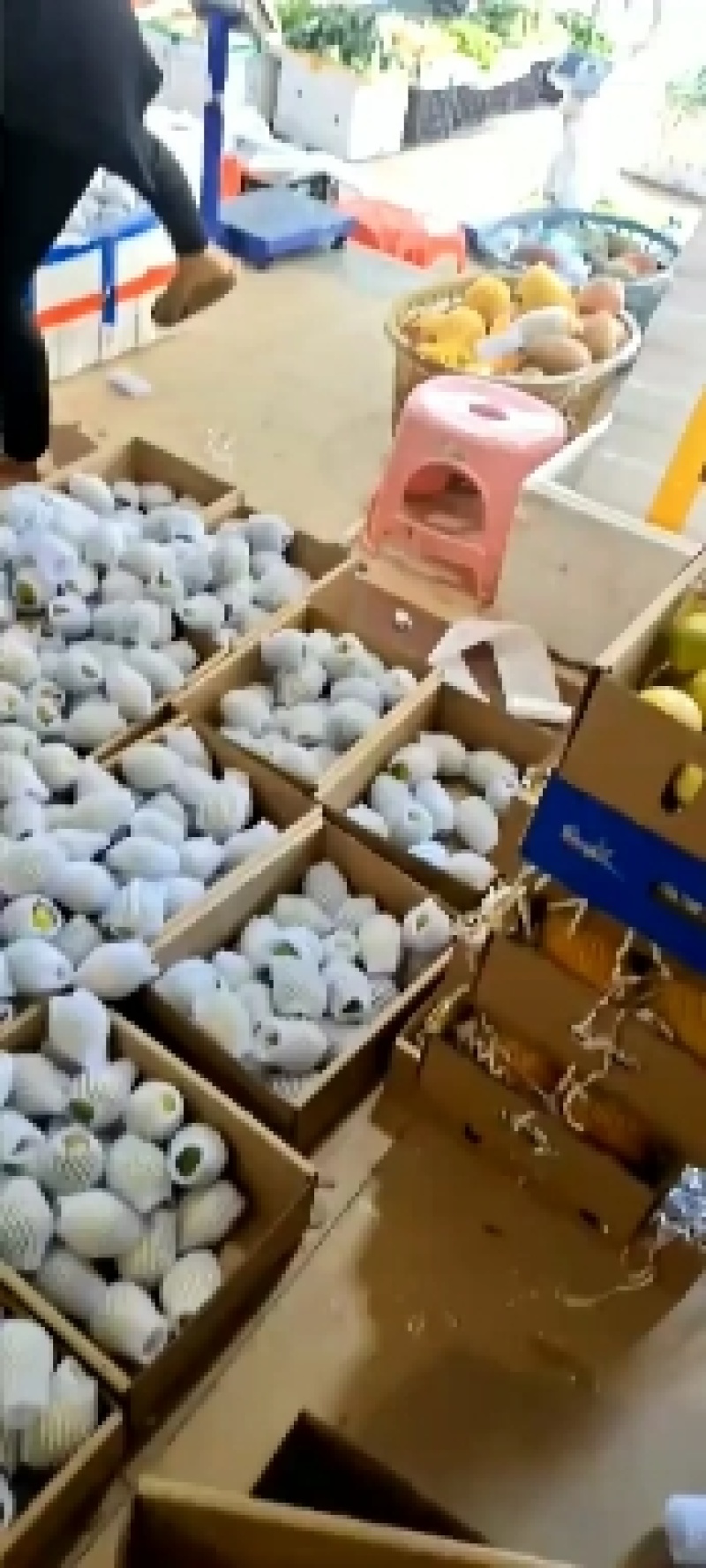 海南百香果