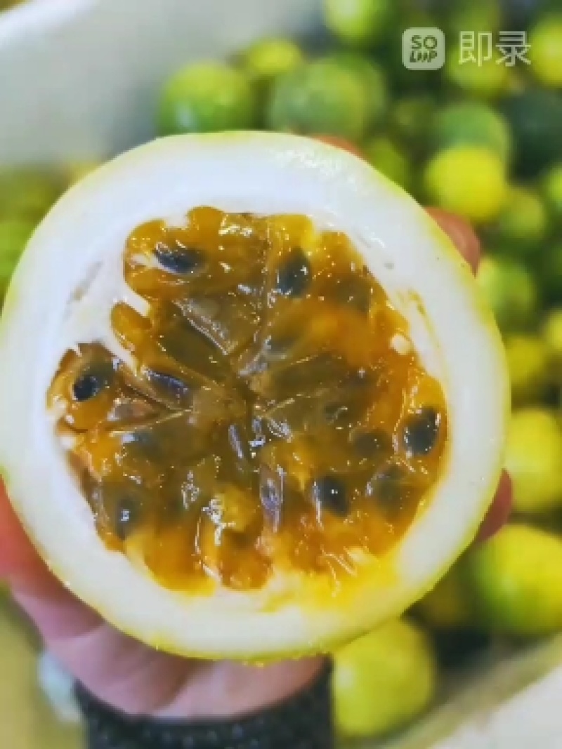 海南百香果