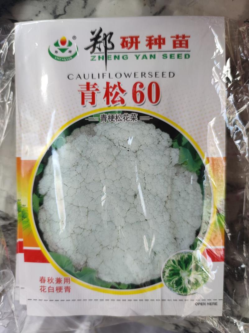 郑研青松60青梗松花菜种子，有机松花种子梗青，2000粒