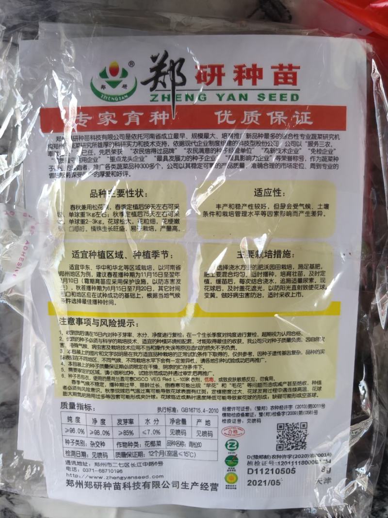 郑研青松60青梗松花菜种子，有机松花种子梗青，2000粒