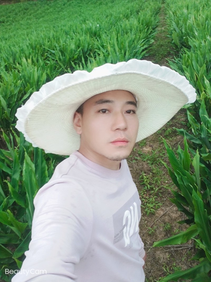 洋荷