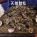 甘松五斤包邮免费磨粉甘菘干松根香草香松甘香松排草香辛料钓
