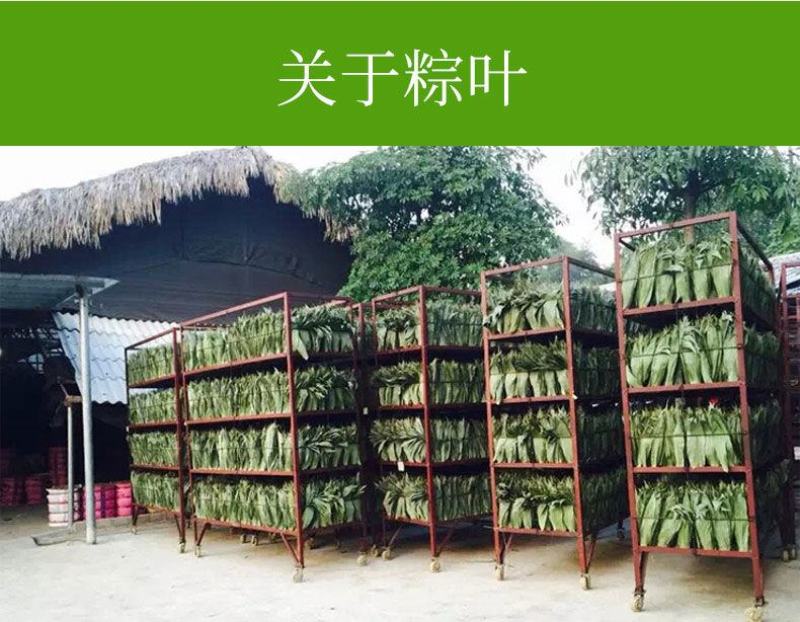 【产地】粽叶新鲜干大号粽子叶粽粑叶竹叶包粽子叶子包邮