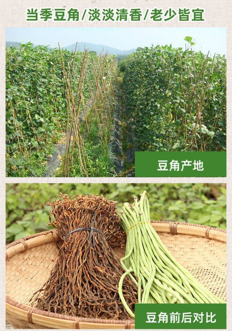 包嫩干豆角干豇豆干货天然脱水长豆角湖南东北土特产蔬菜包邮