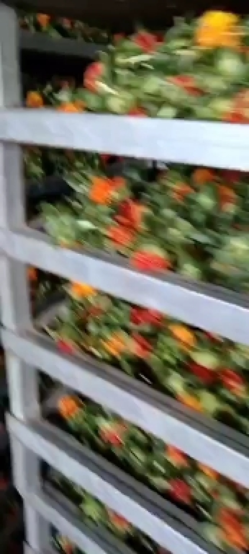 红花果