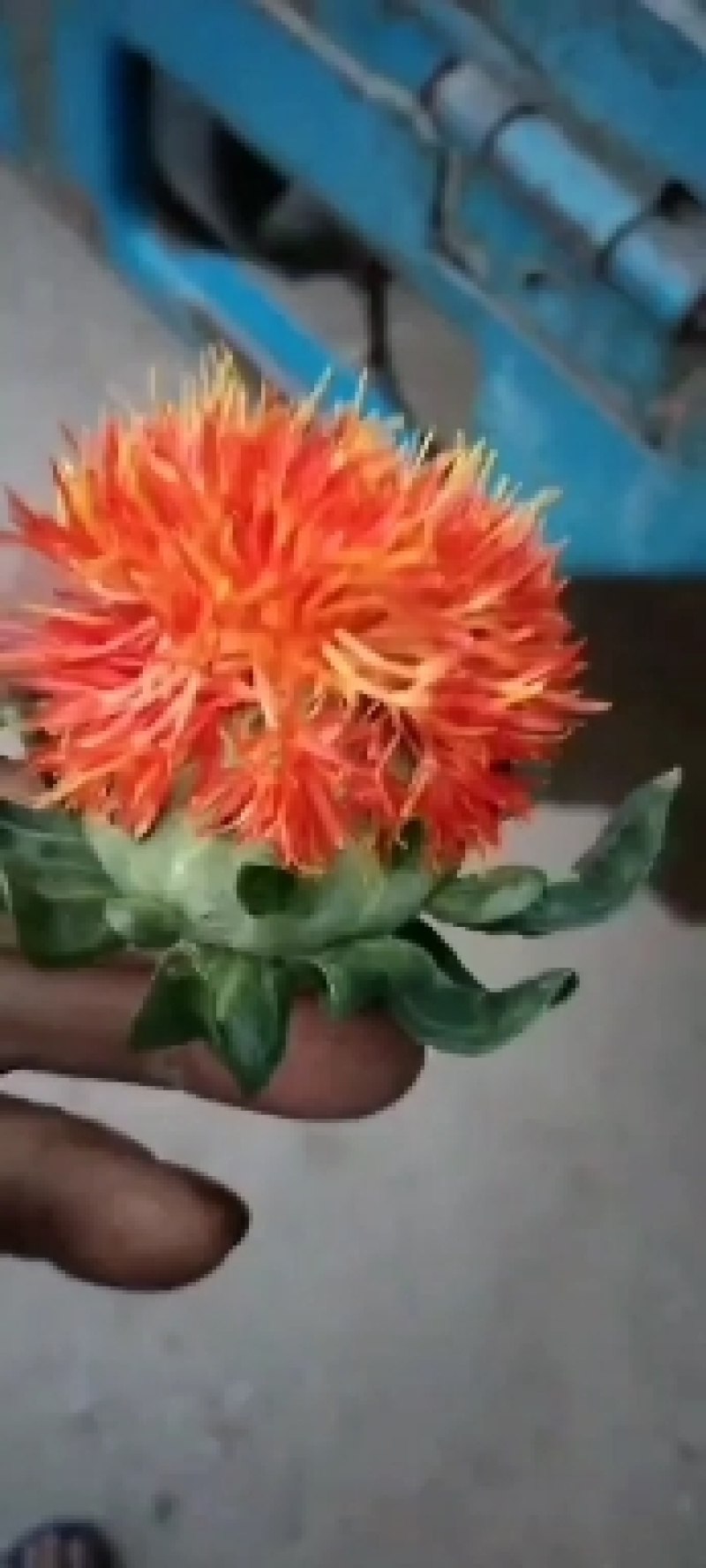 红花果