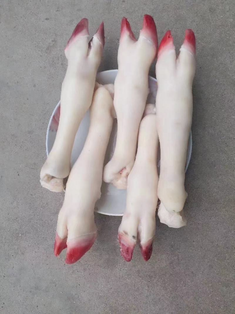 精品去毛羊蹄.不抽筋.不烂皮.刀口齐.大中小规格均有现货