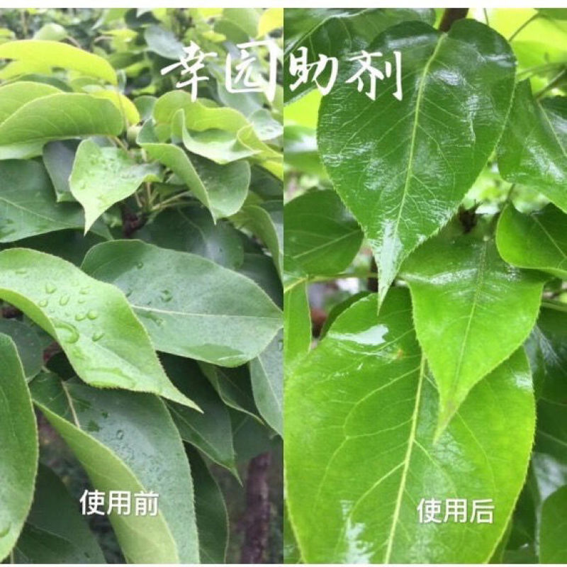 农用有机硅助剂渗透剂增效剂展着剂农药助剂杀虫剂杀菌剂助剂