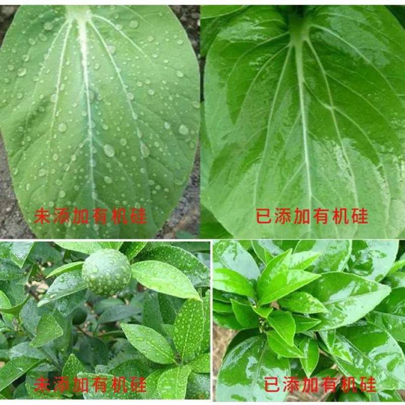 农用有机硅助剂渗透剂增效剂展着剂农药助剂杀虫剂杀菌剂助剂