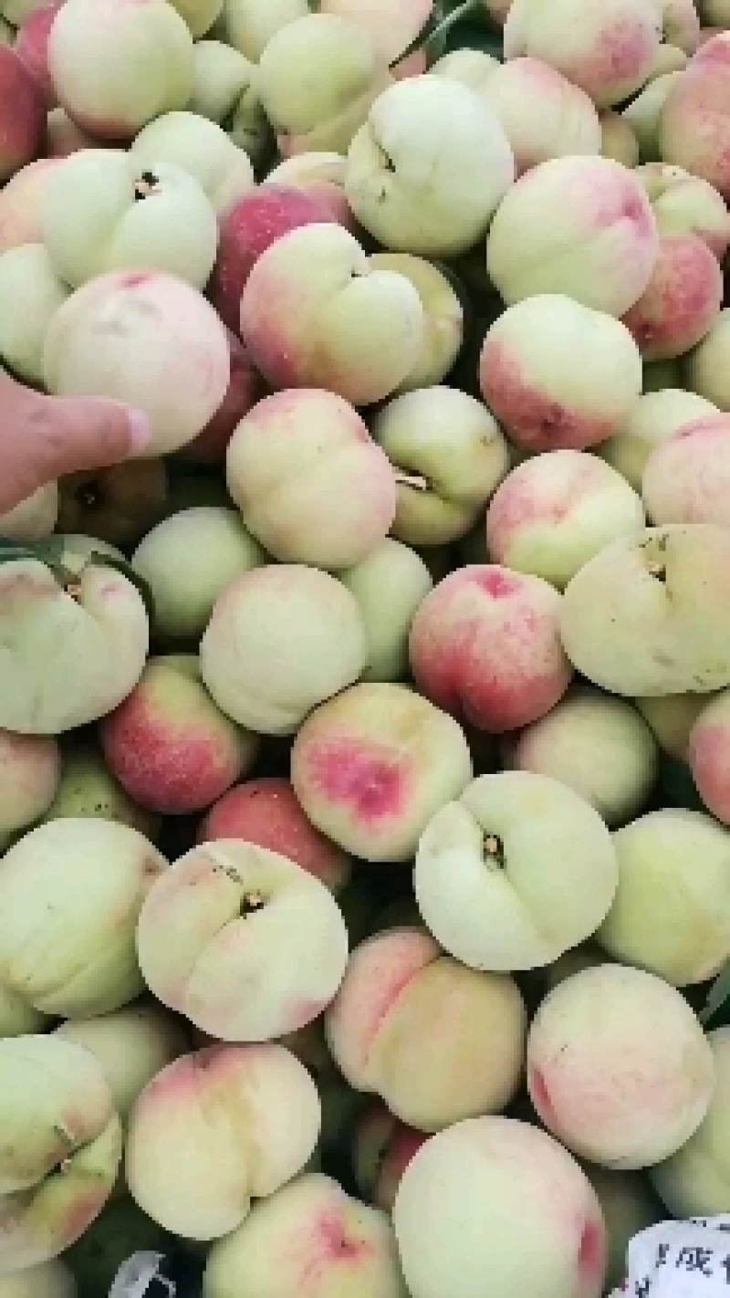 沙红桃