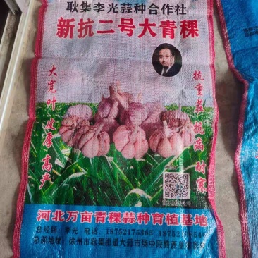 单面覆膜网眼袋，支持来样定做！