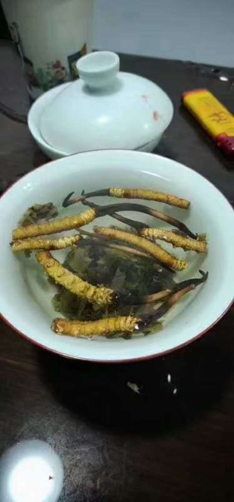 虫草冬虫夏草高原上的野生虫草高海拔高质量
