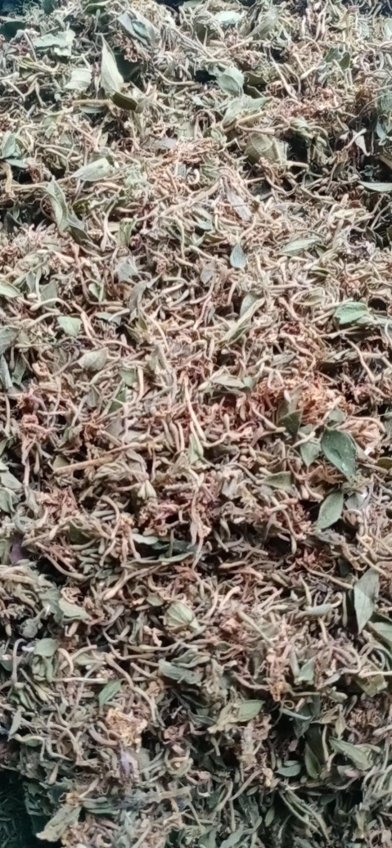 精品金银花烤花，晒花人工精选/品质保证/供超市电商等
