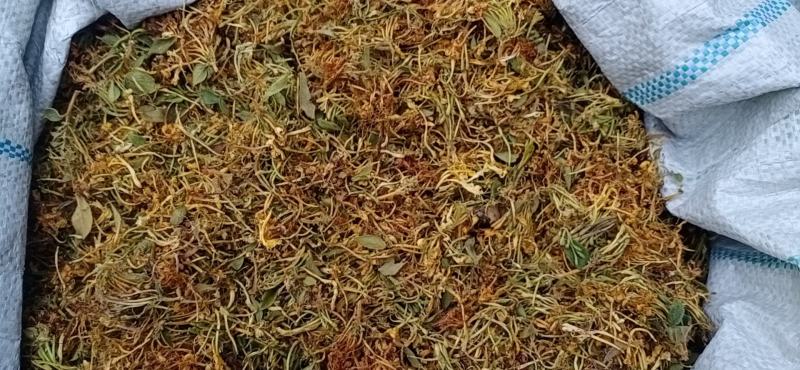 精品金银花烤花，晒花人工精选/品质保证/供超市电商等