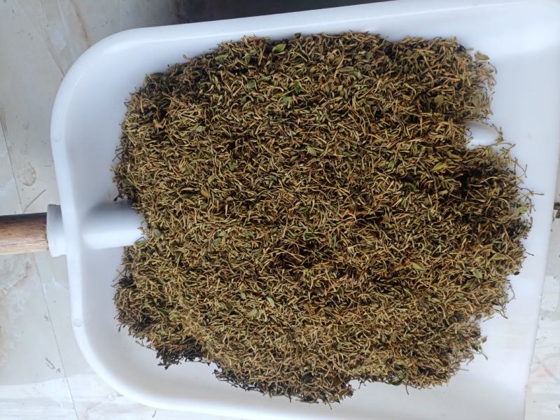 精品金银花烤花，晒花人工精选/品质保证/供超市电商等