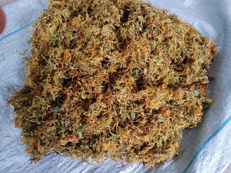精品金银花烤花，晒花人工精选/品质保证/供超市电商等