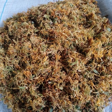 精品金银花烤花，晒花人工精选/品质保证/供超市电商等