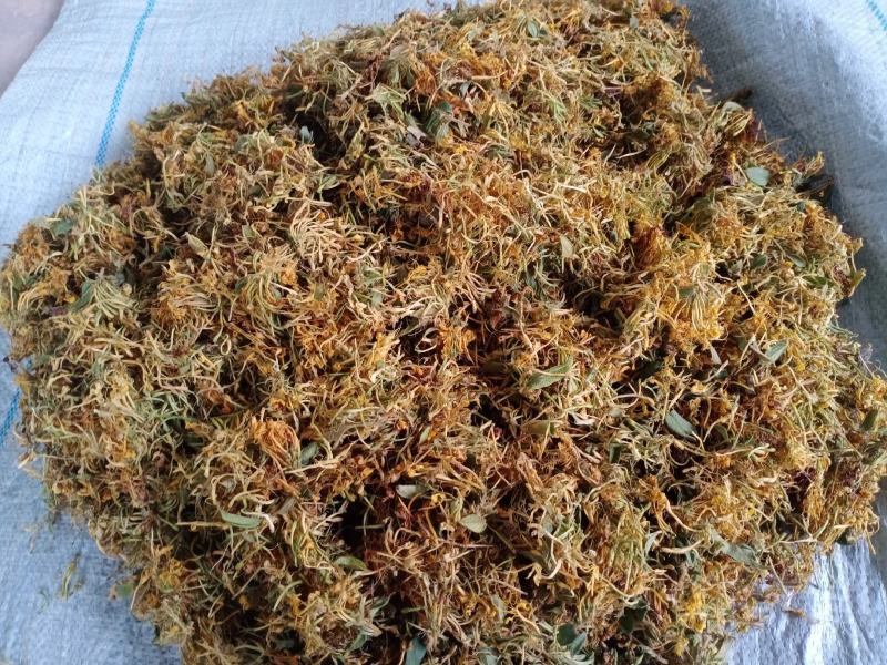 精品金银花烤花，晒花人工精选/品质保证/供超市电商等