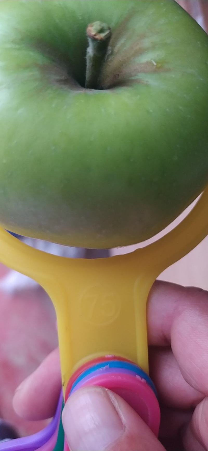 青苹果华硕，华丹，藤木，优二，优三80mm以上精品货源