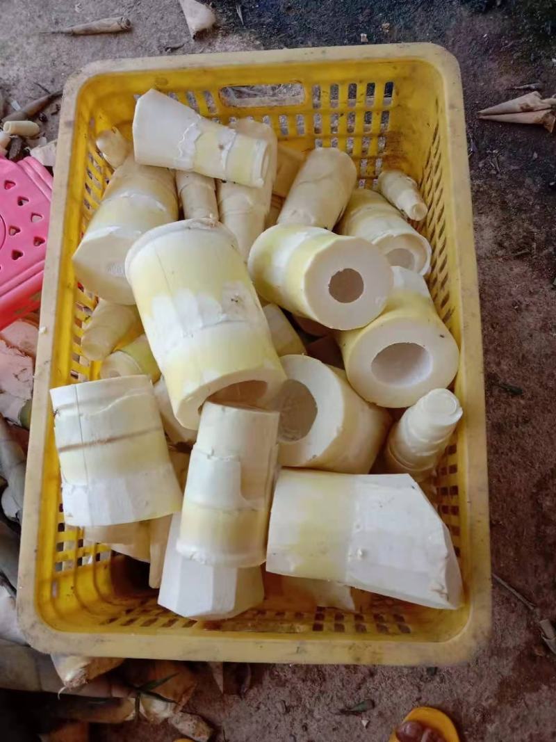 笋丝笋片