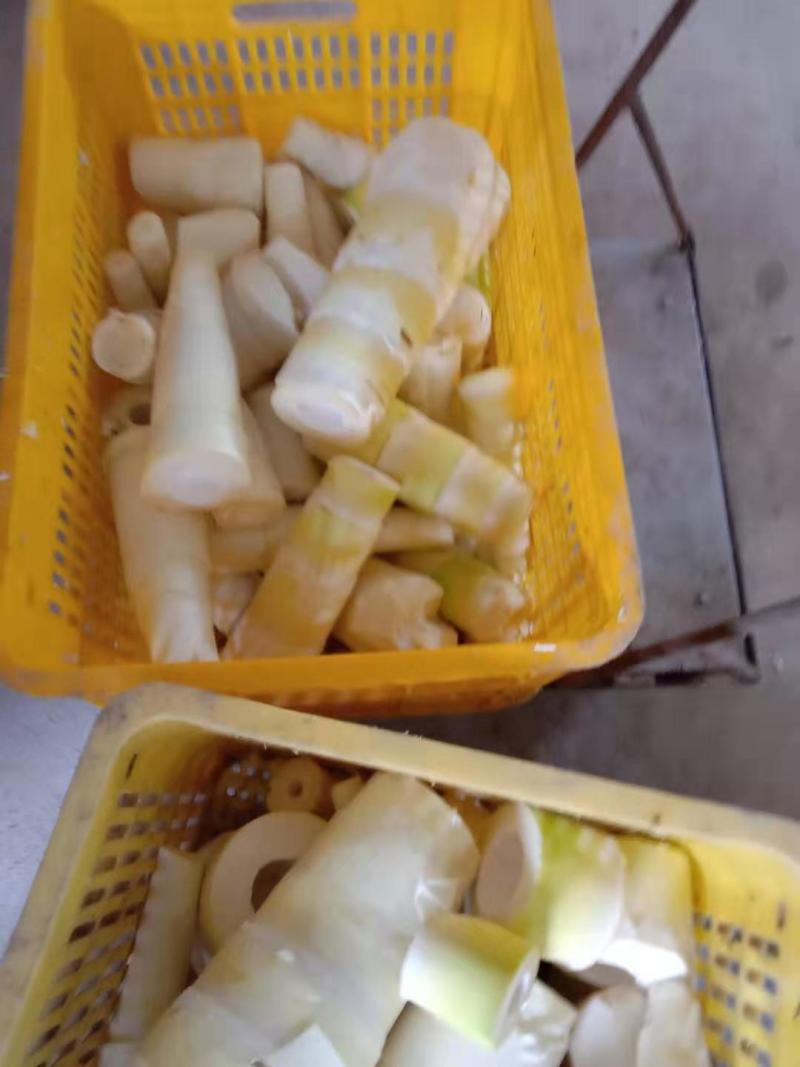 笋丝笋片