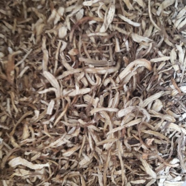 甘肃岷县新货无硫当归节量大优惠