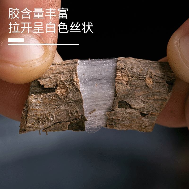 杜仲五斤包邮四川中药材杜肿片老树厚皮老杜仲皮杜仲粉泡茶叶