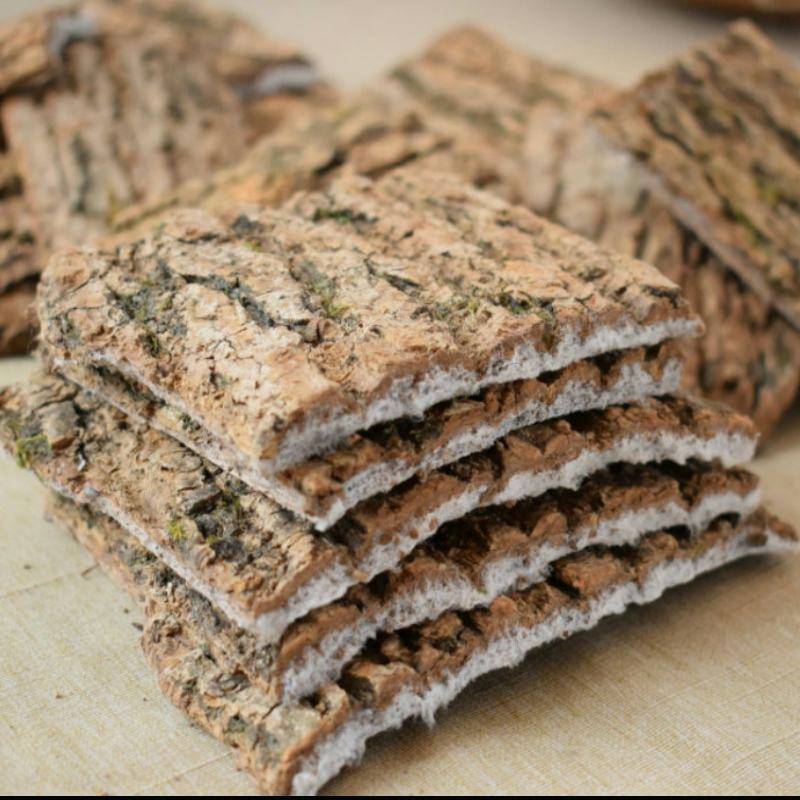 杜仲五斤包邮四川中药材杜肿片老树厚皮老杜仲皮杜仲粉泡茶叶
