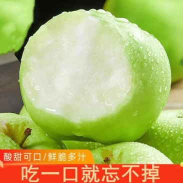 优质青苹果早熟大量上市甘甜可口一件代发全国发货