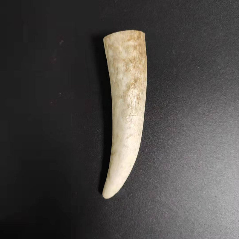 正品鹿角霜个个是角尖包邮正宗特级精选鹿角个免费
