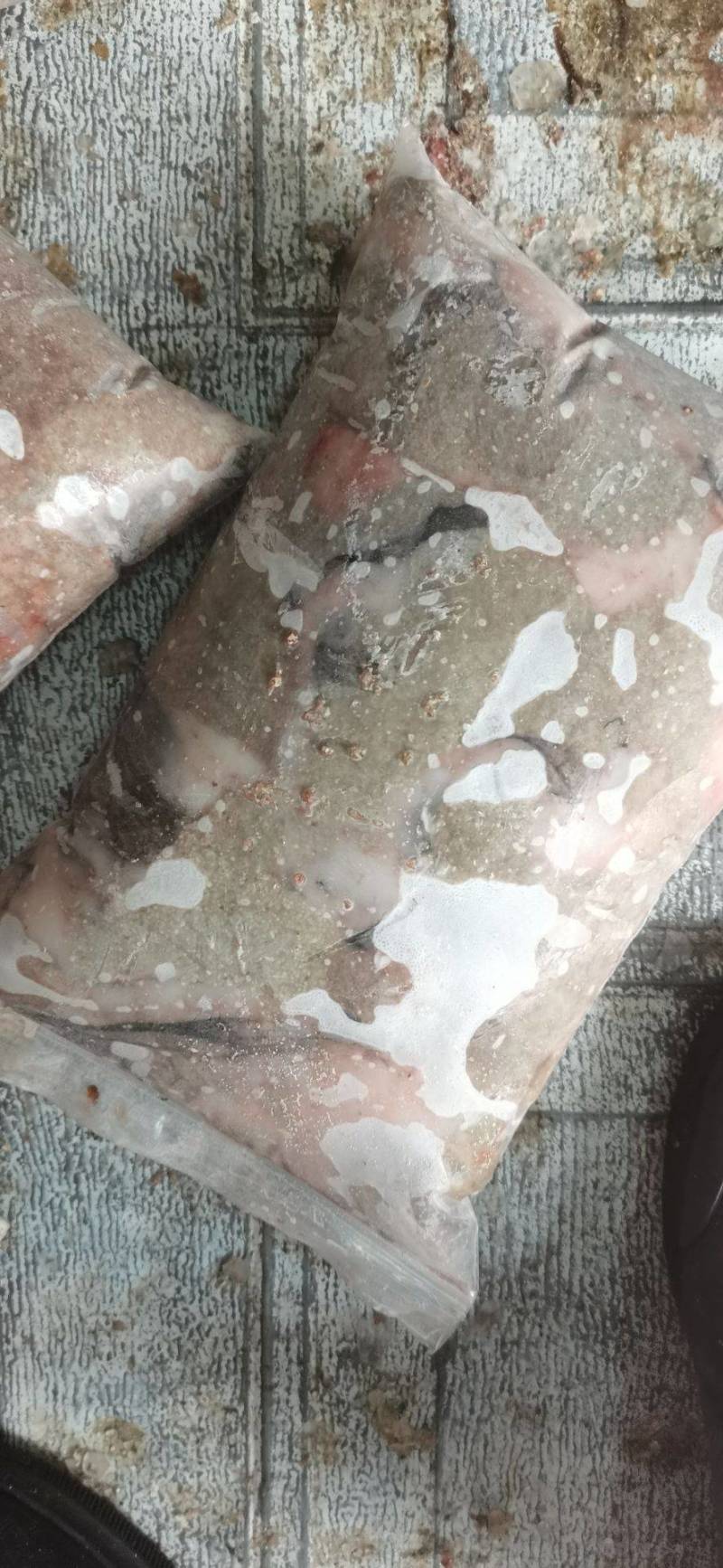 鲢鱼籽