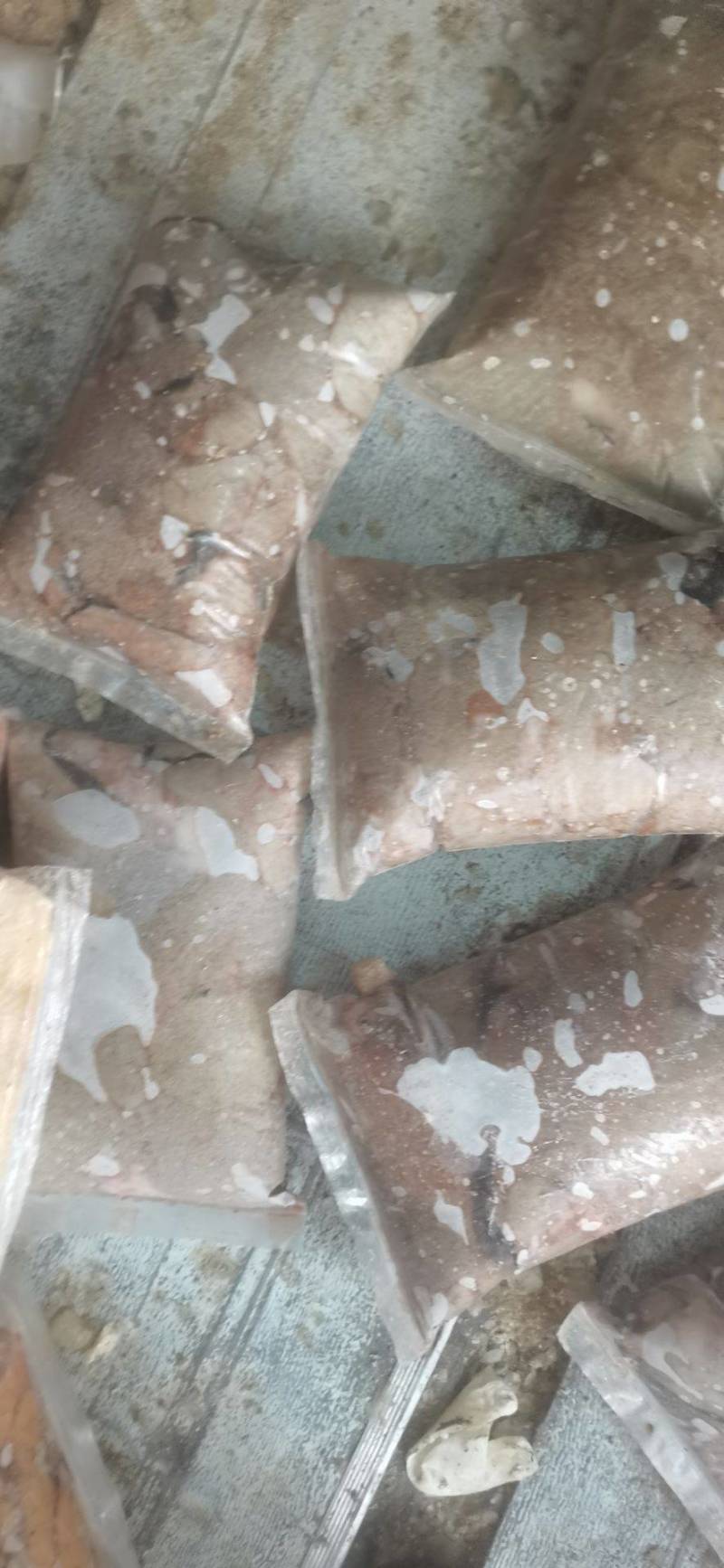 鲢鱼籽
