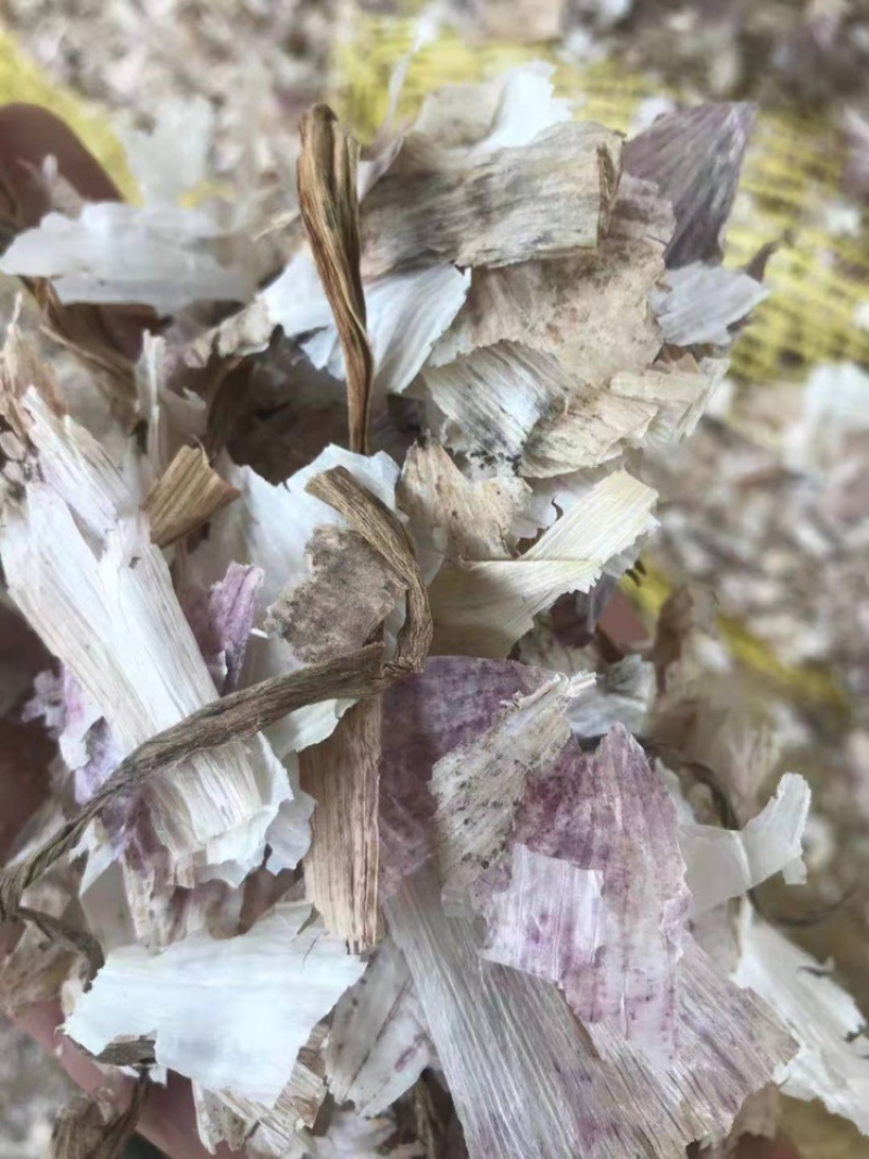 厂家直销优质大蒜皮夏季喂牛羊无土无霉变质量保证