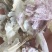 厂家直销优质大蒜皮夏季喂牛羊无土无霉变质量保证