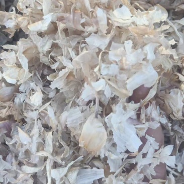 厂家直销优质大蒜皮夏季喂牛羊无土无霉变质量保证